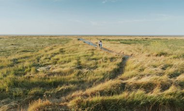 Peaceful meadow landscape with a country path and people (couple) walking among dunes and tall grass. Sea in the background. Brittany - North France. English Channel (La Manche) region.