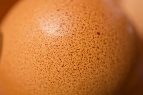 Eggshell Texture — Stock Photo, Image