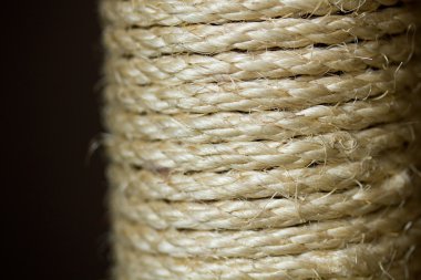 kedi tırmalama direği