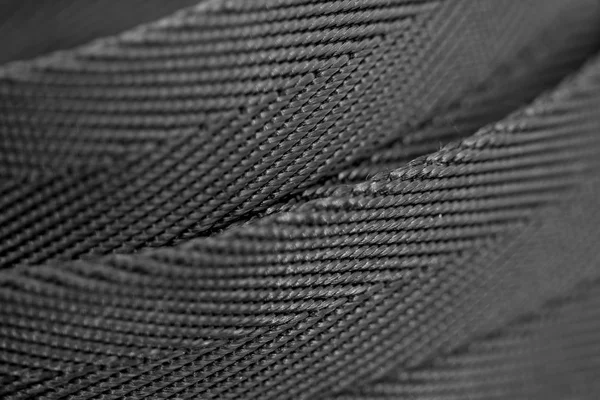 Textura del cinturón de seguridad Fotos De Stock
