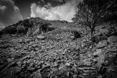 siyah ve beyaz manzara