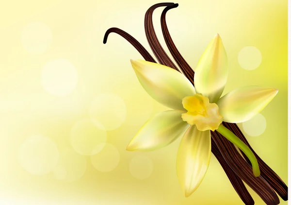 Vanilkové lusky a květiny. Vektorová ilustrace. — Stockový vektor