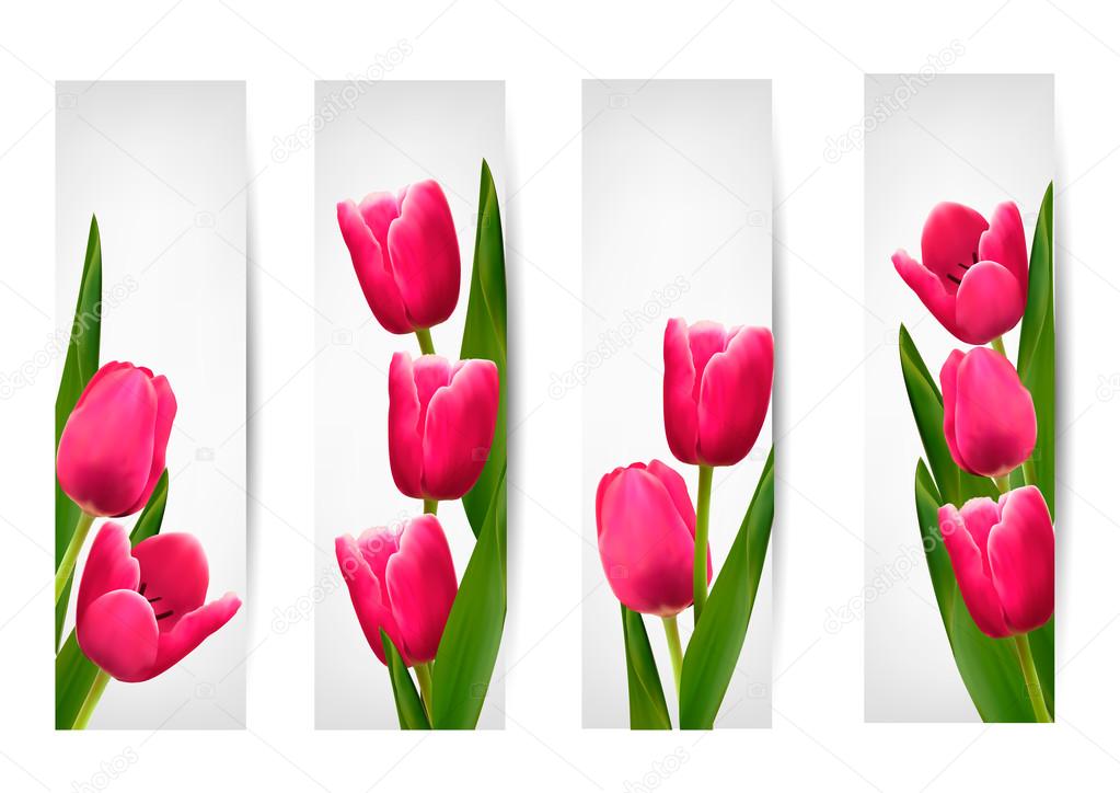Set of banners with pink flower.Vector
