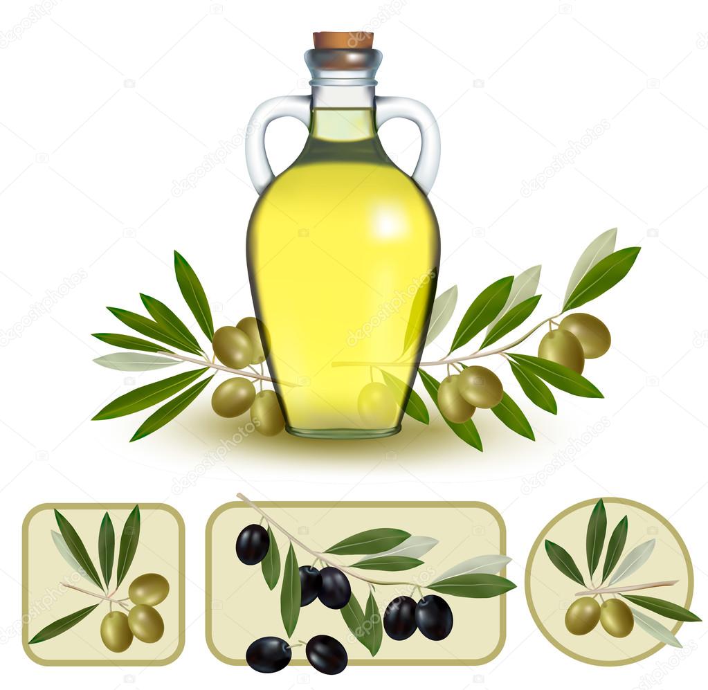 Bottle of oil with green olives and olive oil labels. Vector ill
