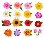Картина, постер, плакат, фотообои "big set of beautiful colorful flowers. vector illustration", артикул 22685625