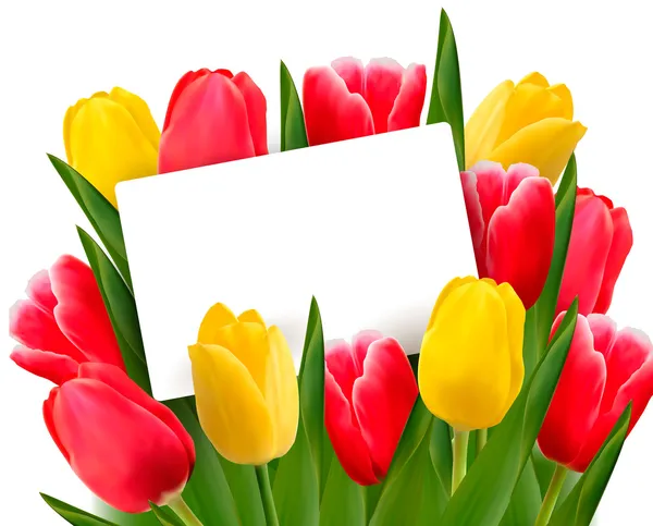 Tulipanes rojos y amarillos y en blanco de tarjeta . — Vector de stock