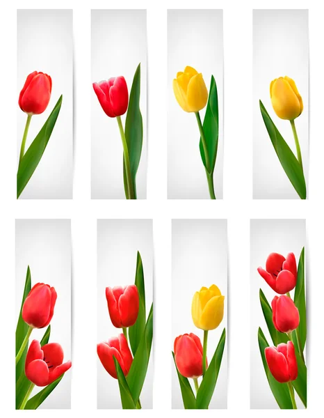 Set van banners met roze bloem. — Stockvector