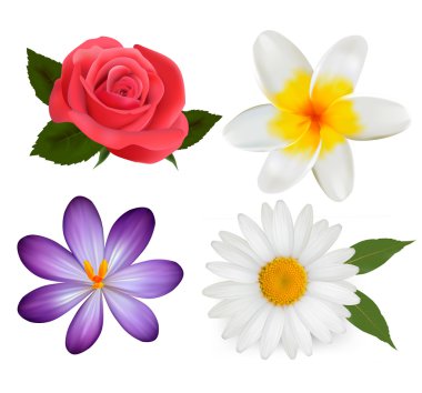 Big set of beautiful colorful flowers. Design flower set 3. Vect