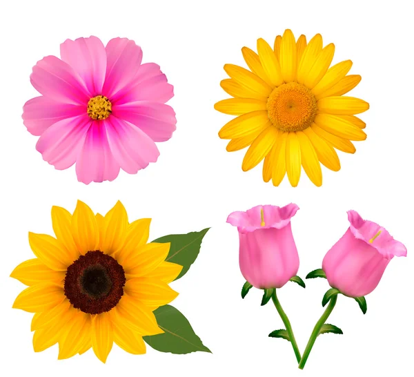 Grande conjunto de belas flores coloridas. Projeto flor conjunto 2. Efeito — Vetor de Stock