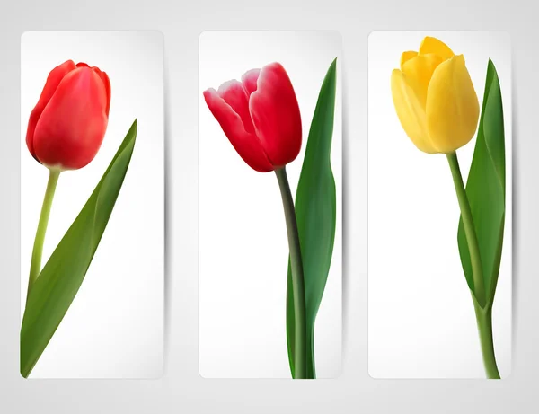 Set van banners met kleurrijke bloem. vectorillustratie. — Stockvector