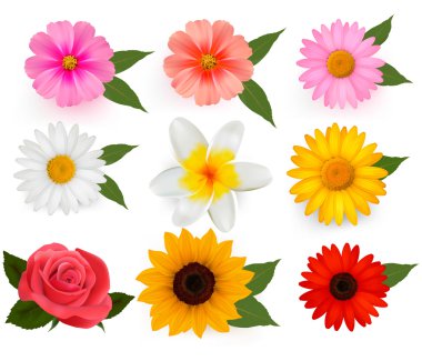Set of beautiful flowers. Vector illustration. clipart