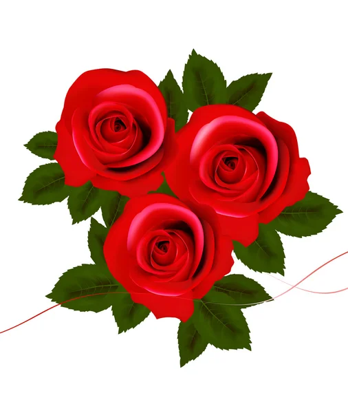 Background with red roses. Vector illustration. — Stock Vector