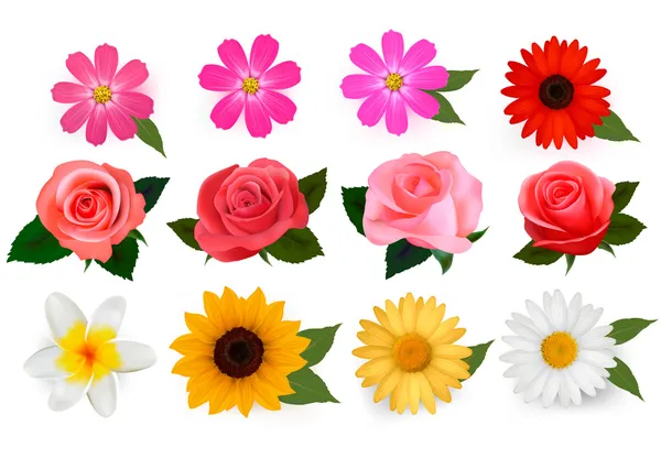 Big set of beautiful colorful flowers. Vector illustration. — Stock Vector