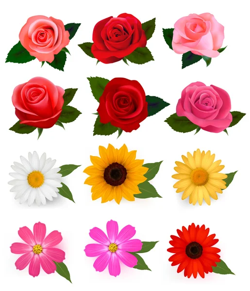 Μεγάλη σειρά από όμορφα πολύχρωμα λουλούδια. εικονογράφηση φορέας. — Διανυσματικό Αρχείο