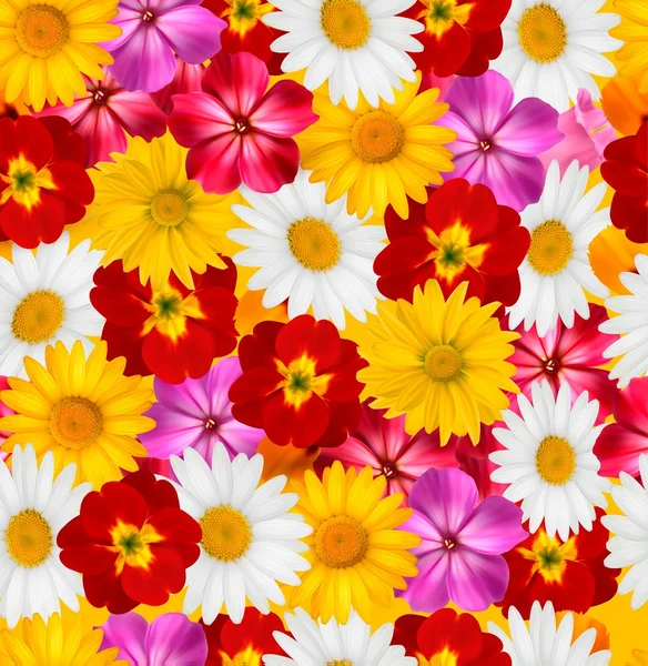Set of beautiful flowers. Vector illustration. Stock Vector Image by ...