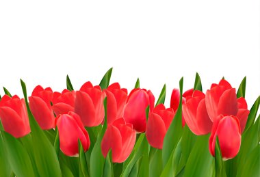 tatil arka plan kırmızı çiçekler buket. vektör illustrat