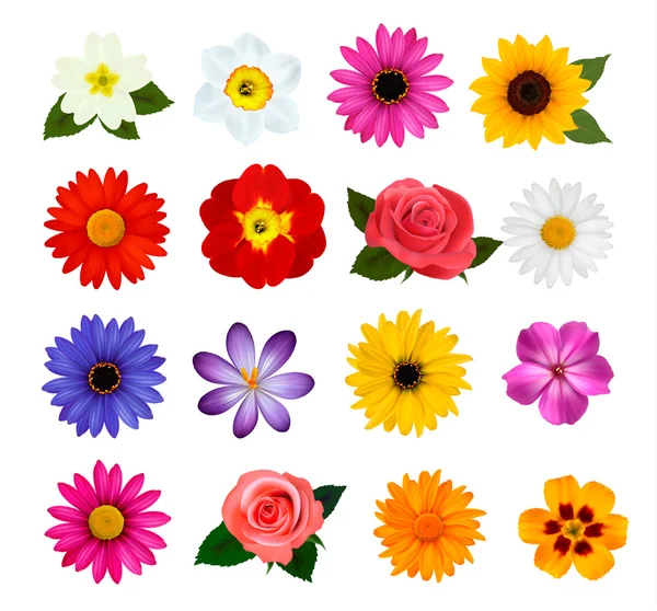 Grande coleção de flores coloridas. Ilustração vetorial . Vetores De Bancos De Imagens Sem Royalties
