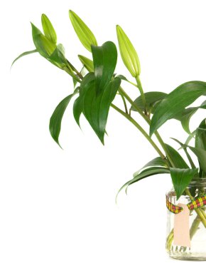 çiçekler bir kavanoz içinde