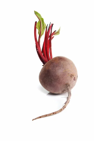 çiğ pancar