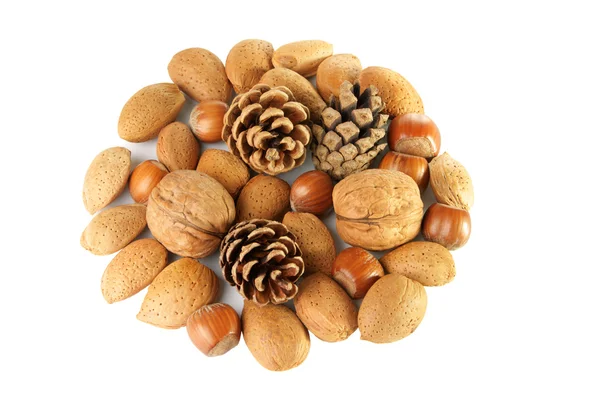 Christmas decoration with mixed nuts and pine cones — Stock Photo, Image