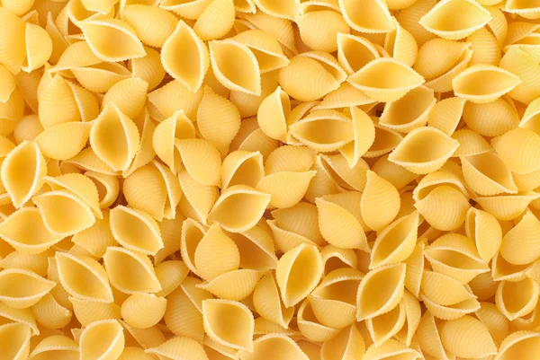 makarna conchiglie