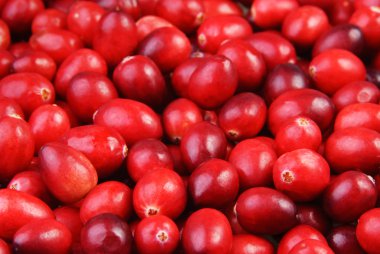 ham cranberries arka plan