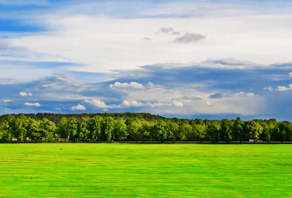 Zelené pole se stromy v jasně modré obloze — Stock fotografie