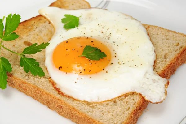Toast med stekt ägg och persilja på en vit platta — Stockfoto