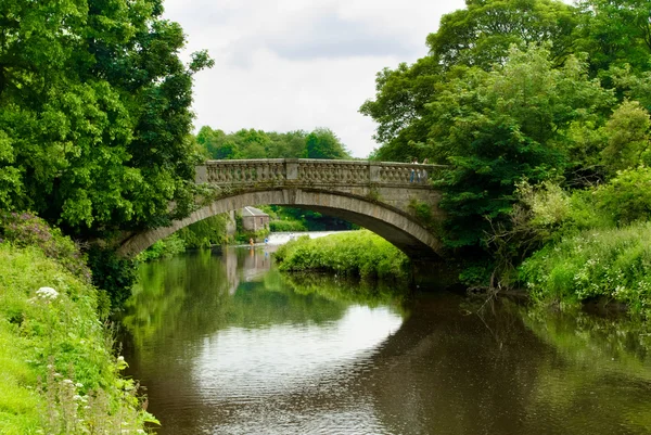 Kamenný most přes vodu bílý košík v parku země pollok v — Stock fotografie