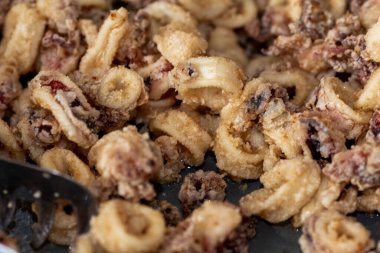 Deniz ürünleri. Bulaşık. Dalmaçya. Hırvatistan