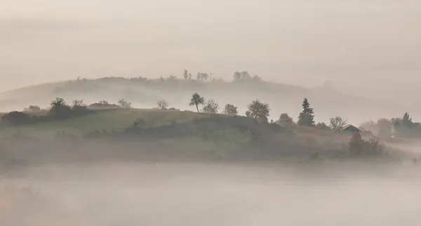 Mystic Foggy Morning Jesienią Chorwacja — Zdjęcie stockowe