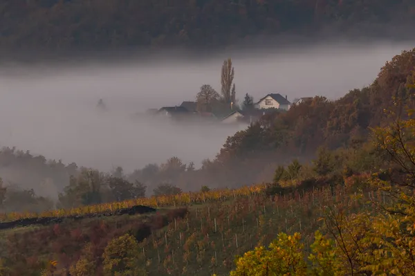 Mystischer Nebliger Morgen Herbst Kroatien — Stockfoto