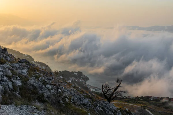 Dağlarda gizemli sisli bir gün