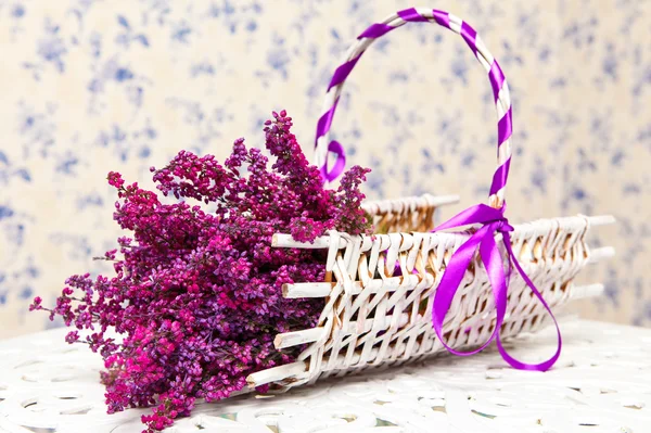 Purple lavender and white basket — Stock Photo, Image