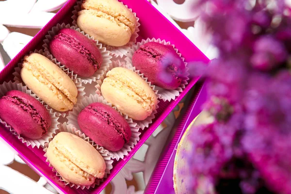 vanilya ve mor macaroons