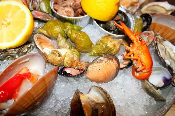 Fruits de mer, huîtres et mollusques — Photo