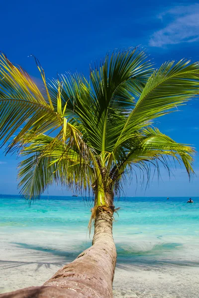 Plage de sable blanc avec un océan cristallin aux Maldives . — Photo