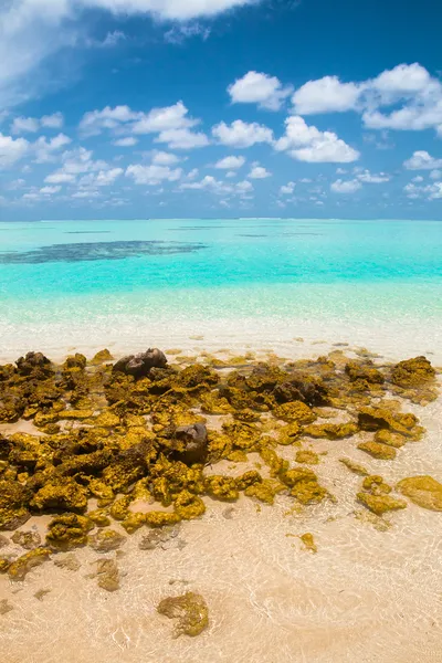 O mar tropical com água azul, Maldivas — Fotografia de Stock