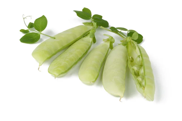 Ervilha madura vegetal com folha verde isolada sobre fundo branco — Fotografia de Stock