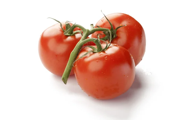 Tomate rouge fraîche avec tige verte sur fond blanc — Photo