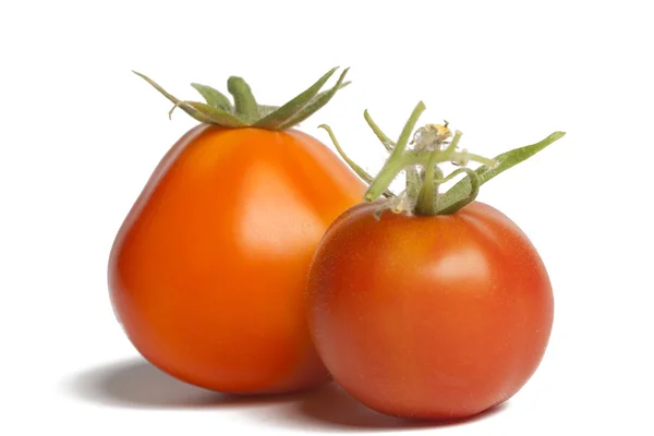 Two ripe tomatoes isolated on white background — Stock Photo, Image