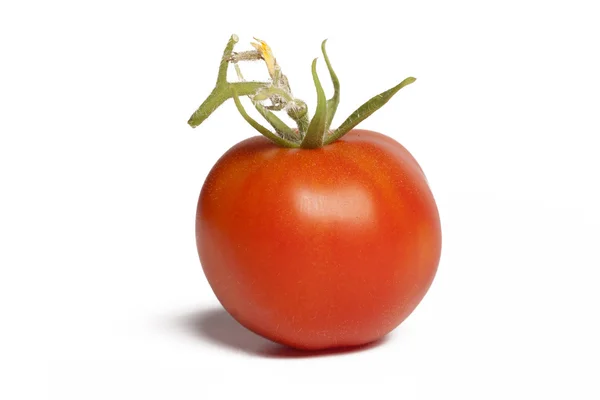 Tomate fresco con sombra aislada sobre blanco — Foto de Stock