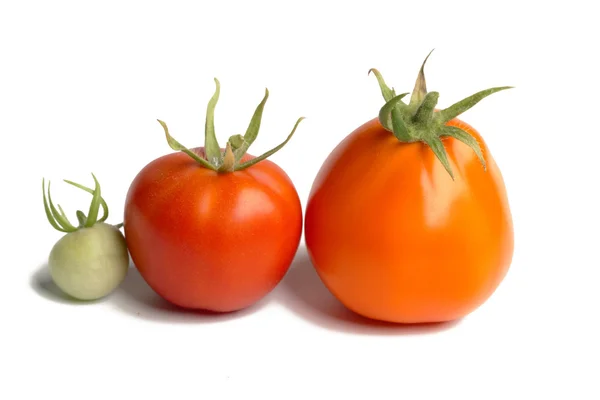 Two tomatos isolated on white — Stock Photo, Image