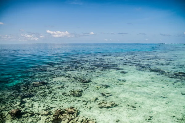 Tropiskt havsvatten i Maldiverna — Stockfoto
