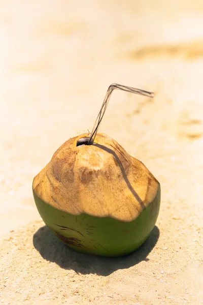 Coco com palha de bebida em uma palmeira no mar — Fotografia de Stock