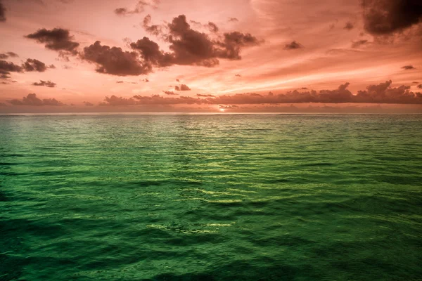 Tropisk sjøvann i Maldivene – stockfoto