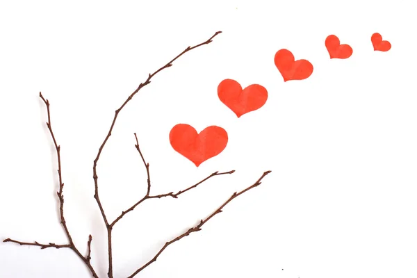 Suche gałęzie z serca kształty. na białym tle — Zdjęcie stockowe