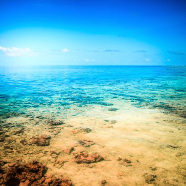 tropikal deniz suyu Maldivler