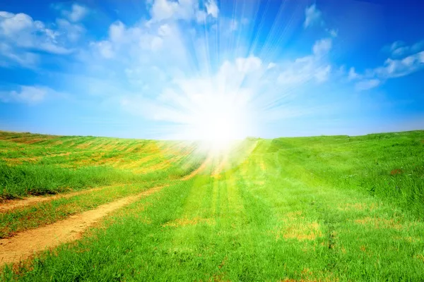 Pole trawa, Błękitne niebo i słońce. — Zdjęcie stockowe