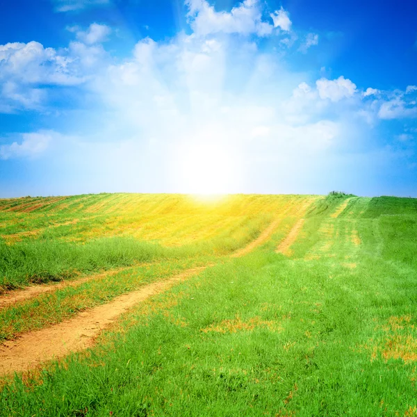 Green field and beautiful sunset — Stock Photo, Image